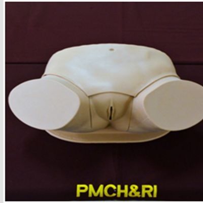 CLINICAL FEMALE PELVIC TRAINER